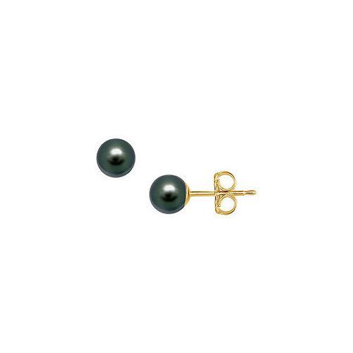 Akoya Cultured Pearl Stud Earrings : 14K Yellow Gold 6 MM-JewelryKorner-com