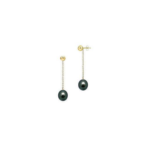 Black Akoya Cultured Pearl Earrings : 14K Yellow Gold 7 MM-JewelryKorner-com