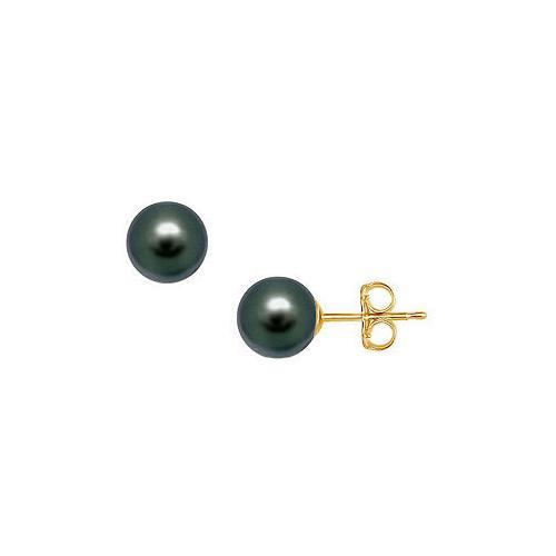Tahitian Pearl Stud Earrings : 18K Yellow Gold 10 MM-JewelryKorner-com